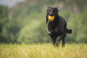 img_1532.jpg